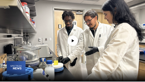 UCF researchers Bradley Demosthene, Jorge Pereira and Melissa Maria Deinys have spent the last year developing MgSun, a treatment for a deadly disease affecting Florida’s mangroves. (Spectrum News/Reagan Ryan)